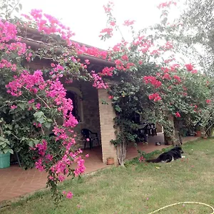 Casa Santina , Girasole Italien